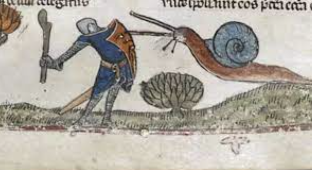 “Many medieval manuscript illustrations show armored knights fighting snails, and we don't know the meaning behind that.”